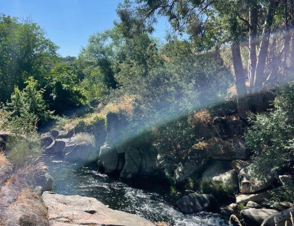 WhatsApp Image 2025-07-07 at 16.57.18_4fba2d63