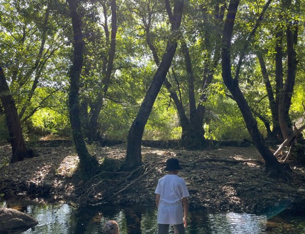 WhatsApp Image 2025-07-07 at 16.57.20_b23cd26c