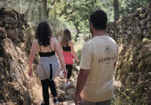 Guias especializados