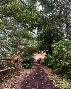 Percursos na natureza