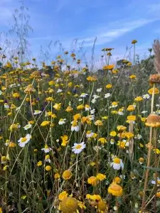 Passeios com paisagens espetaculares